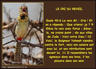 2015 0407 carte le cri du reveil francais