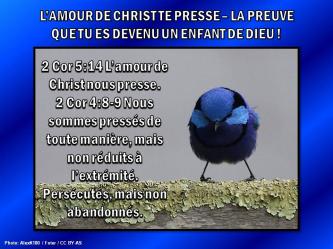 2015 0413 amour de christ nous presse