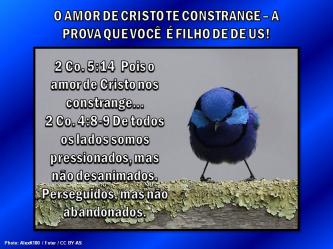 2015 0413 o amor de cristo te constrange portugues