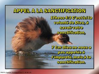 2015 0524 appel a la santification