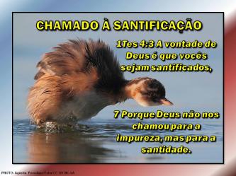 2015 0524 chamado a santificacao portugues