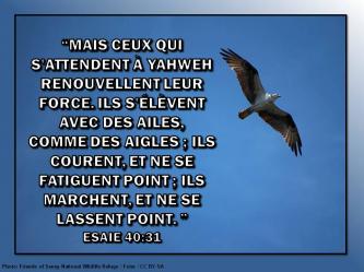 2015 0611 mais ceux qui s attendent a yahweh esaie 40 31