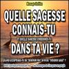 2015 1012 quelle sagesse connais tu minia1 copie carree