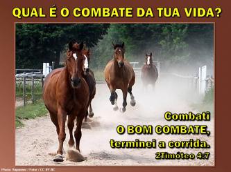 2016 0202 2timoteo 4 7 combati o bom combate portugues