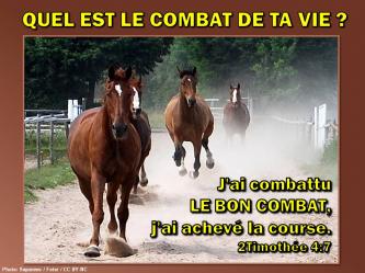 2016 0202 j ai combattu le bon combat 2timothee 4 7