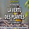 2017 0403 reconnaitre la vertu des feuilles de plantes est ce biblique copie carree