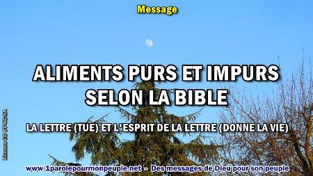 2019 0926 aliments purs et impurs selon la bible minia1 450