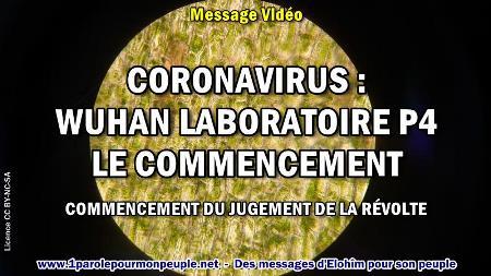 2020 0418 coronavirus wuhan laboratoire p4 le commencement minia1 450