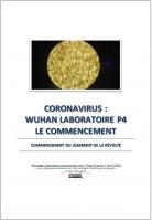 2020 0418 coronavirus wuhan laboratoire p4 le commencement miniacouv1