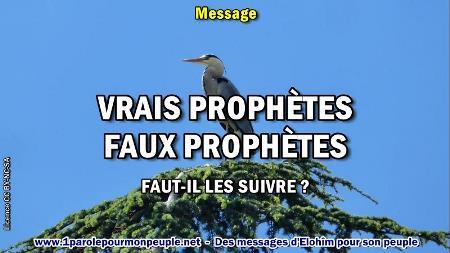 2020 0514 vrais prophetes faux prophetes minia1 450