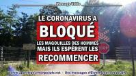 2020 0625 le coronavirus a bloque les magouilles des hommes minia1 450