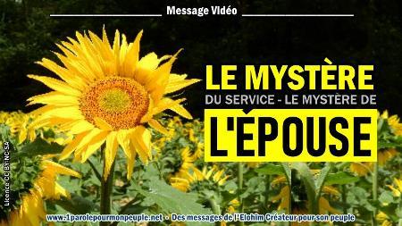 2020 1107 le mystere du service le mystere de l epouse minia1 450