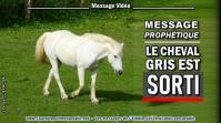 2021 0414 le cheval gris est sorti minia1 450