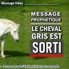 2021 0414 le cheval gris est sorti minia1 450carre