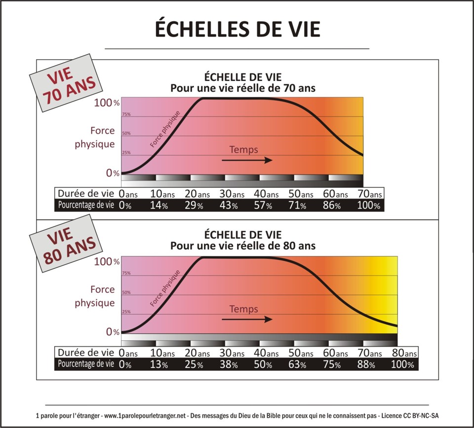 Echelle de vie3 2 960