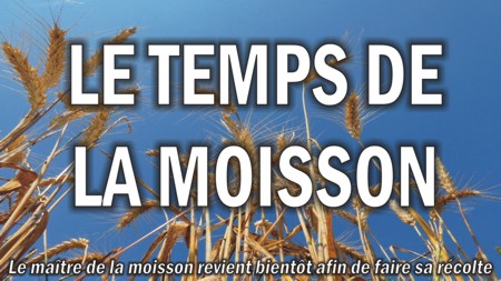 Img le temps de la moisson 450