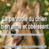 Parabole du chien bien aime miniature2 copie carree